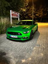 Ford Mustang GT 5.0 CS KW/DD/Sternehimmel/21 - Ford Mustang: Cs