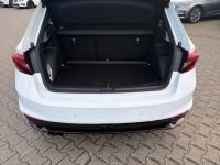 Skoda Fabia - Vorschau Bild 15