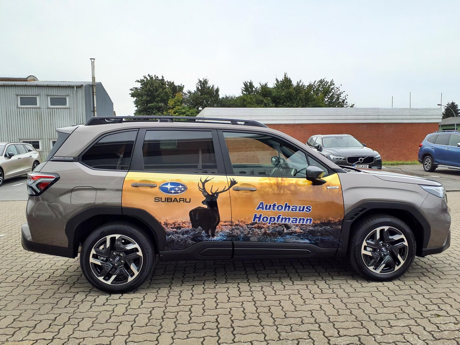 Subaru Forester - Bild 5