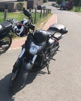 Honda CB 600F Hornet - HONDA 2009 600 HORNET
