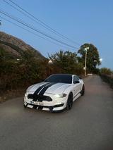 Ford Mustang 5.0 V8 GT - Ford Mustang in Ludwigshafen