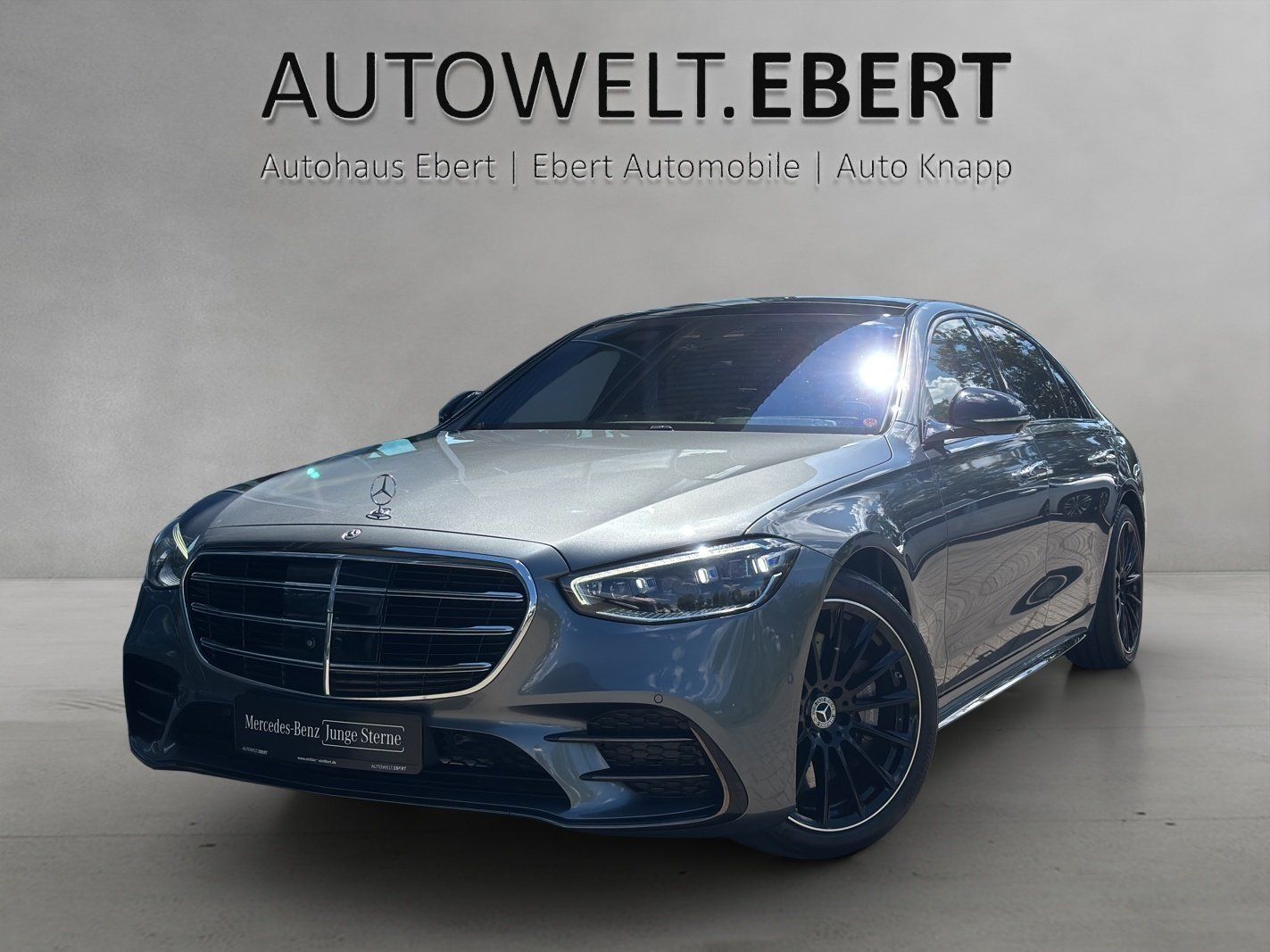 MERCEDES-BENZ S 450d L AMG BurmHighEnd E-ABC FondTV FirstClass