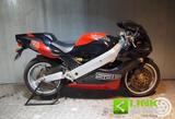 Bimota BIMOTA SB6 1100 *ASI* - BIMOTA SPORTLER
