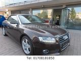 Audi A5 Cabriolet 2.0 TFSI Leder Navi Bang & Olufsen - Audi A5 aus 2010: Cabrio