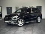 Mercedes-Benz ML 350 AMG*Edition 1*TRAUM*Designo*Distronic+* - Mercedes-Benz: Behindertengerecht
