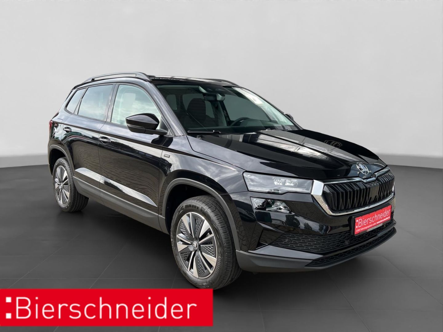 Skoda Karoq - Bild 9