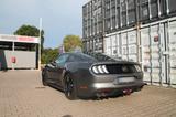 Ford Mustang 5.0 Ti-VCT V8 GT | B&O/CARBON/ALCANTARA  - Ford Mustang in Oldenburg