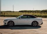 Ford Mustang 2.3 EcoBoost - Premium Package - Ford Mustang aus 2025