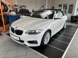 BMW 218i CABRIO M SPORT PAKET/NAVI/XENON/LEDER - BMW 2er Reihe: M Paket