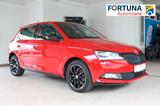 Skoda Fabia Monte Carlo Rückfahrkamera - Skoda Fabia: R