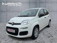 Fiat Panda - Vorschau Bild 1