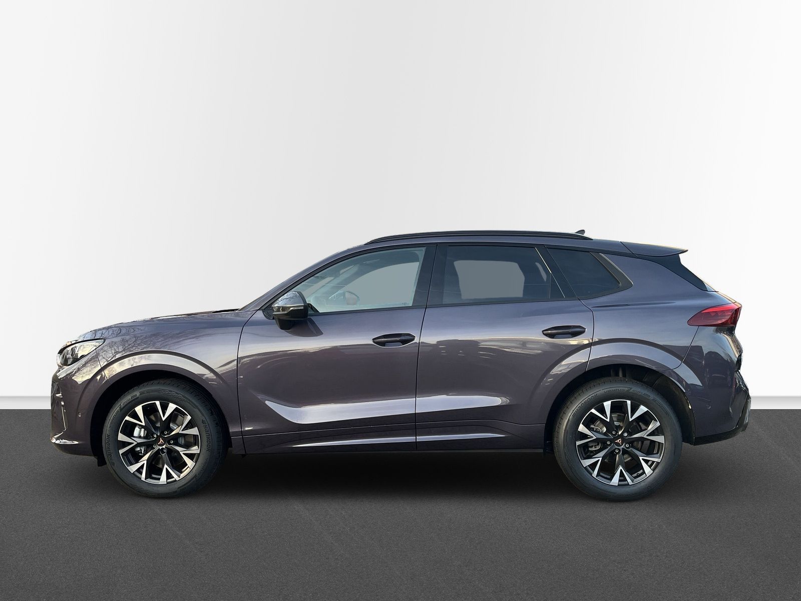 Cupra Terramar - Bild 2