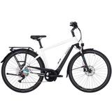 Pegasus Premio EVO 10 Lite 750 - Pegasus E-Bikes