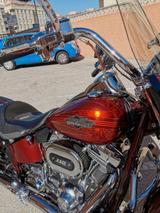 Harley-Davidson FLSTSE3 - HARLEY-DAVIDSON FLSTS