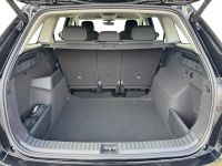 Skoda Kodiaq - Vorschau Bild 7