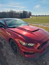 Ford Mustang 2.3 EcoBoost Auto - - Ford Mustang: Rot