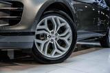 Land Rover Range Rover Evoque R-Dynamic SE P 250 LED RFK - Land Rover Range Rover Evoque mit Benzin-Antrieb: Automatik