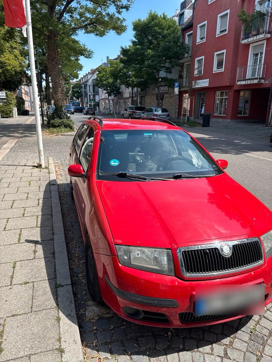 Skoda Fabia 2008 — photo 8