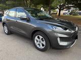 Ford Kuga 1.5 EcoBlue 120 CV aut. 2WD ST-Line X - Ford Kuga: Van