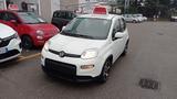 Fiat Panda 1.0 FireFly S&S Hybrid SPORT*PREZZO R - Fiat Panda Sport mit Hybrid-Antrieb (Benzin/Elektro)