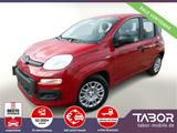 Fiat Panda MHEV 5"-DAB 5-Sitzer PDC DigCo UVP-29%* - Fiat Panda: Sitzer