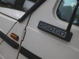 Mercedes-Benz G 250  H-Kennzeichen - Mercedes-Benz G 250 von privat
