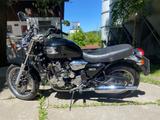 Triumph Thunderbird 900 - TRIUMPH THUNDERBIRD 900
