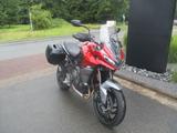 Triumph Tiger Sport 660 - Koffer und ...... - TRIUMPH 660 TIGER SPORT