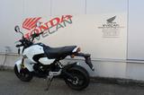 Honda MSX 125*sofort verfügbar* - HONDA MSX