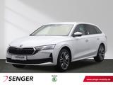 Skoda Octavia 2.0 TDI Tour DSG 360° Kamera AHK - Skoda Octavia Neuwagen