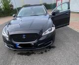 Jaguar xj Auto - Jaguar XJ in Dortmund