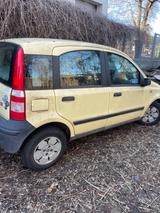 Fiat Panda - Fiat Panda in Dresden