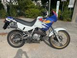 Honda NX 650 Dominator (RD08)