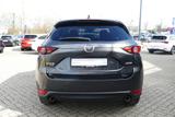 Mazda CX-5 2.5 SKYACTIV-G 194 Sports-Line AWD 360°Kam - Mazda CX-5 mit Benzin-Antrieb