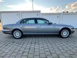 Jaguar XJ8 (X356) 3.5 Lang (LWB) Grau / Schwarz / Beige - Jaguar XJ8: Xj8l