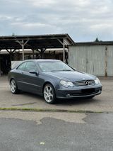Mercedes-Benz Mercedes Clk 270 Cdi Aut. 8 Fach TÜV Neu - Mercedes-Benz CLK 270: Cdi