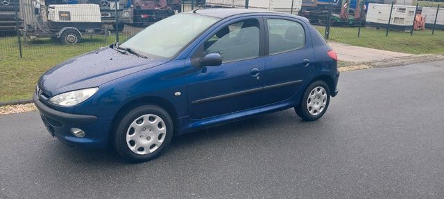 Peugeot 206 Grand Filou Cool