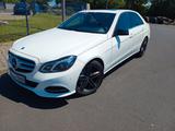 Mercedes-Benz E350 Avantgarde, TüV neu, Schiebedach, 8 Reifen - Mercedes-Benz E 350 in Frankfurt (Main)