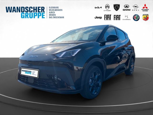 BYD DOLPHIN SURF