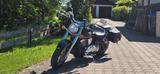 Kawasaki VN900  - Angebote