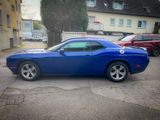 Dodge CHALLENGER SXT*R/T LOOK*LEDER*KAMERA*DESIGN* - Dodge: Coupé