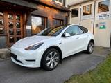 Tesla Model Y SR RWD BYD LPF AKKU - Tesla Model Y in Düsseldorf