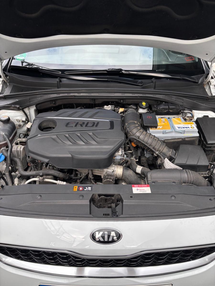 Kia ProCeed 1.6 CRDi Hybrid/AHK/Soundsystem/Navi