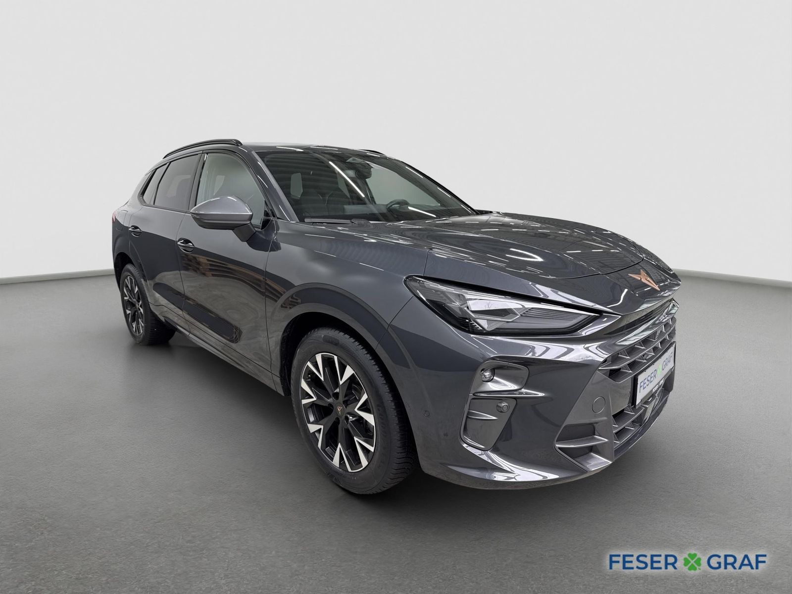 Cupra Terramar - Bild 5