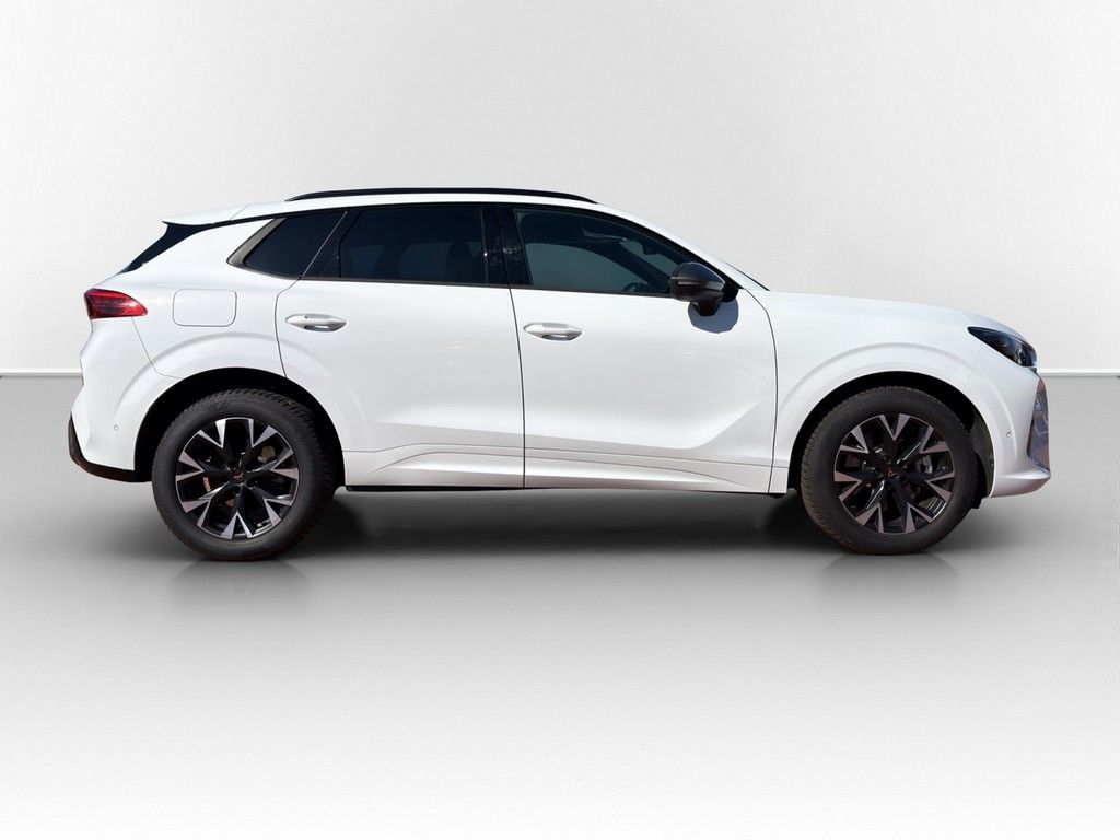Cupra Terramar - Bild 5