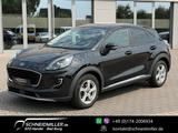 Ford Puma Titanium X 1.5 TDCI*120PS*NAVI*SYNC3*B&O - Ford Puma Titanium mit Diesel-Antrieb