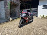 Aprilia Aprillia gp Replica 125 - Angebote entsprechen deinen Suchkriterien