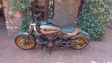 Harley-Davidson Sportster 1250 S Neu 240er Komplettumbau - HARLEY-DAVIDSON SPORT
