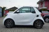 Smart ForTwo cabrio 0.9 66kW passion - Smart ForTwo: Weiß