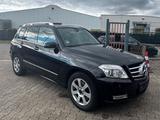 Mercedes-Benz GLK 250 CDI BlueEfficiency 4Matic - Mercedes-Benz GLK 250 aus 2011